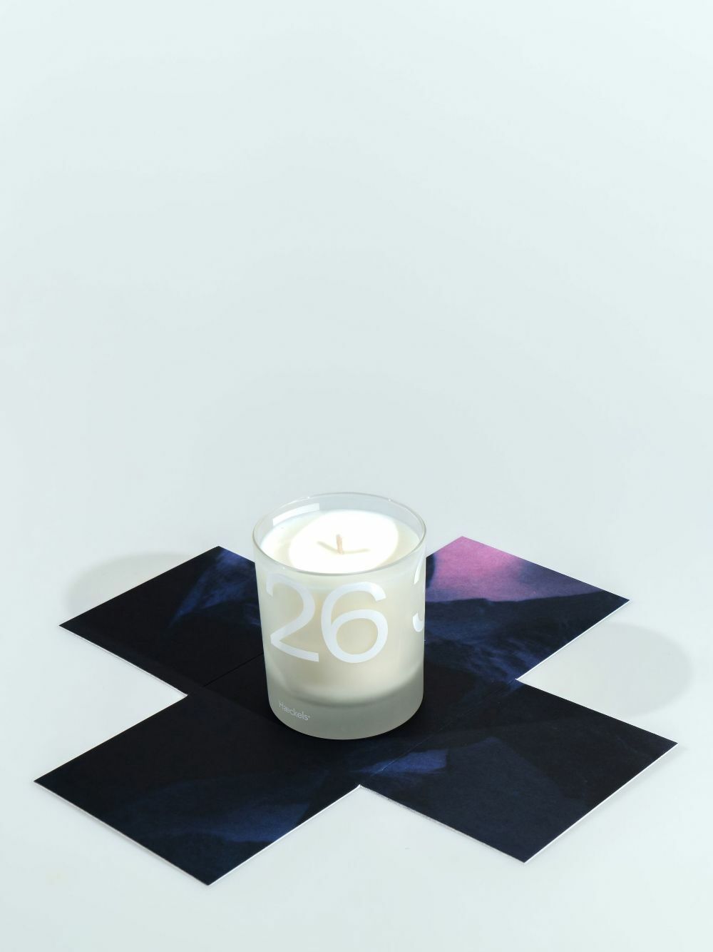 Haeckels Neutral Botany 240g Candle