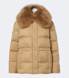 Yves Salomon Shearling-trimmed down jacket
