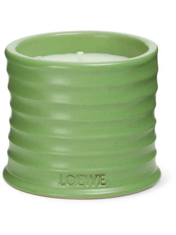 Photo: LOEWE HOME SCENTS - Luscious Pea Scented Candle, 170g