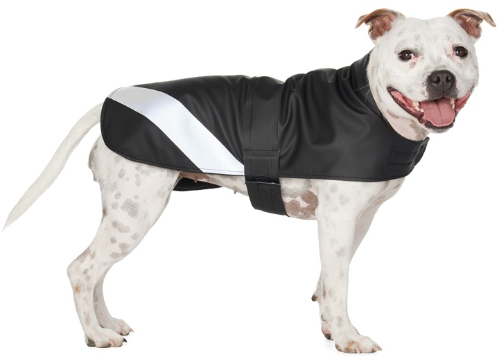 Photo: Stutterheim SSENSE Exclusive Black Dog Raincoat