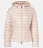 Moncler Igelhood down jacket