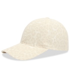 Anine Bing Women's Jeremy Baseball Cap in Multi 