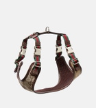 Gucci XS GG canvas leather-trimmed dog harness