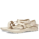 Chaco Men's Z1 Classic in Angora