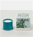 Loewe Home Scents Incense Small candle