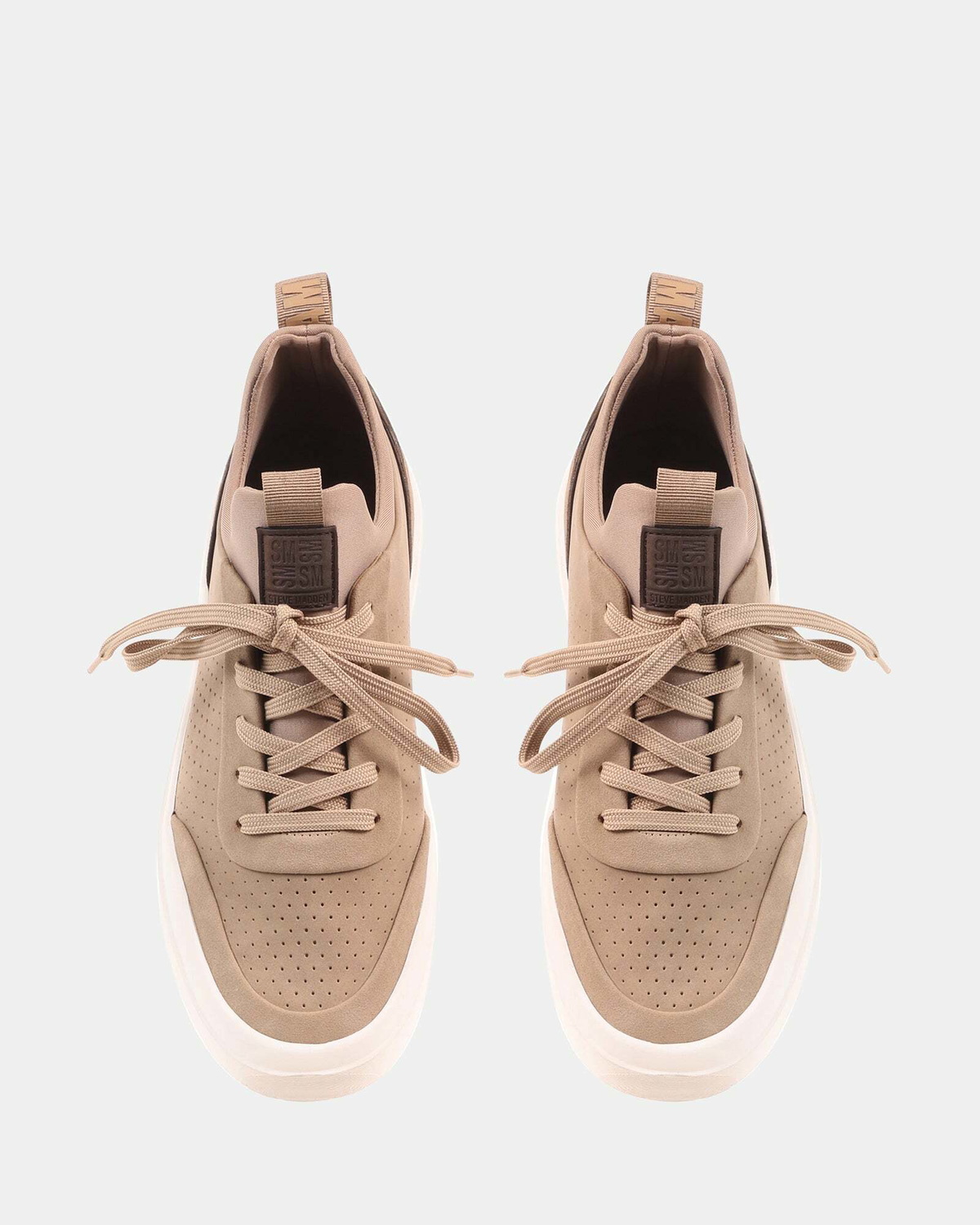Steve Madden Octavio Sneakers in Taupe Nubuck
