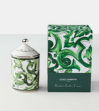 Dolce&Gabbana Casa Majolica porcelain scented candle