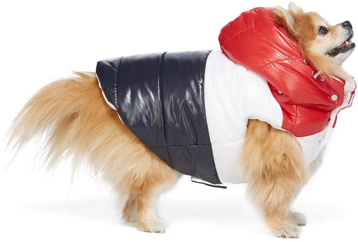 Photo: Moncler Genius Multicolor Poldo Dog Couture Edition Striped Jacket
