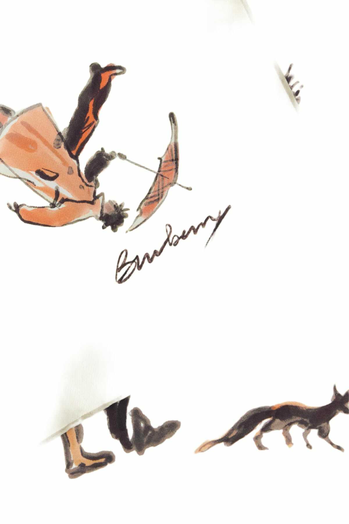 Burberry Printed Silk Foulard