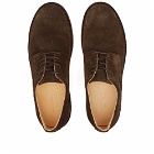 Astorflex Men's Cityflex Shoe in Dark Chestnut