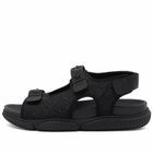 Cecilie Bahnsen Women's Valeria Sandal in Black