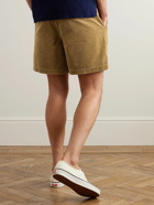 Polo Ralph Lauren - Prepster Straight-Leg Cotton-Corduroy Drawstring Shorts - Brown