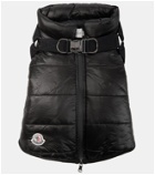 Moncler Genius - x Poldo Dog Couture dog coat with harness