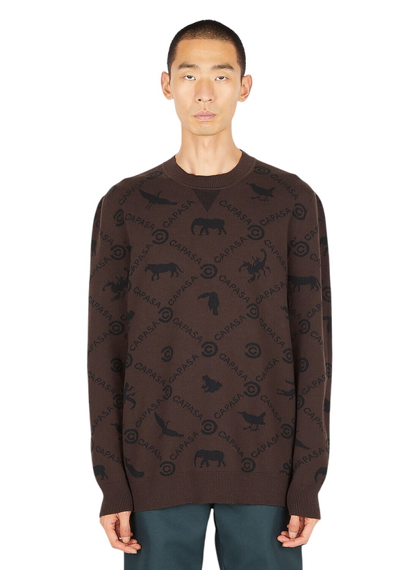 Photo: Capasa Milano Jacquard Logo Sweater