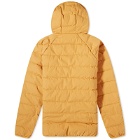 Patagonia 50th Anniversary Cotton Down Jacket in Dried Mango
