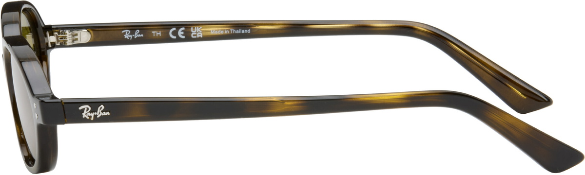 Ray-Ban Brown Khal Sunglasses