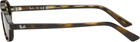 Ray-Ban Brown Khal Sunglasses