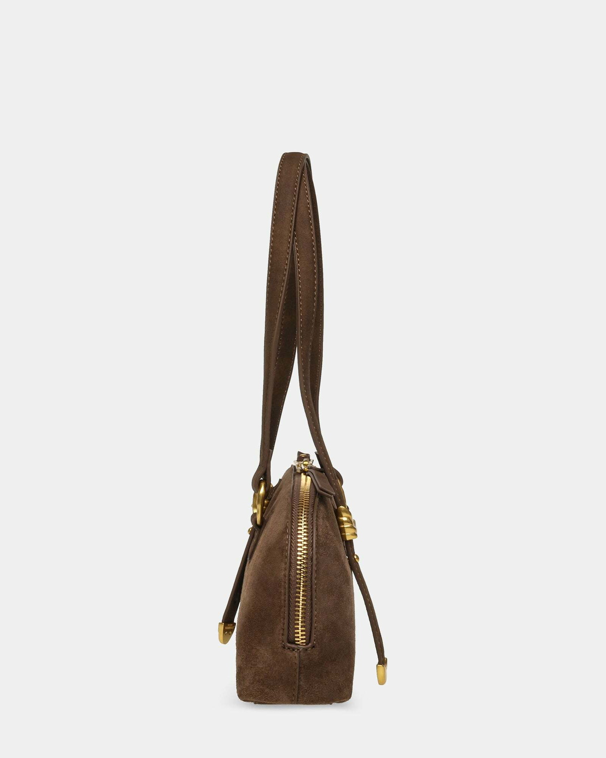 Steve Madden Bcurie-S Bag in Brown