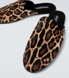 Dolce&Gabbana Leopard-print calf hair mules