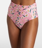 Agua by Agua Bendita Magenta floral bikini bottoms