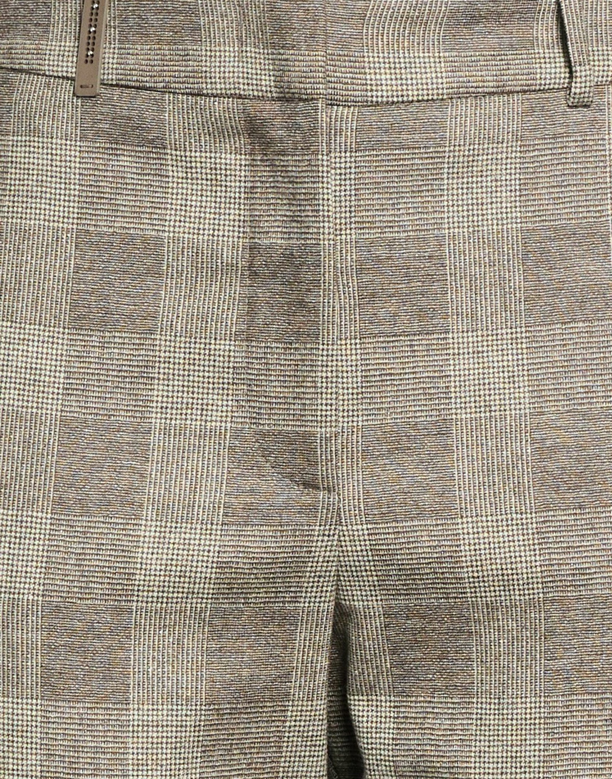 Peserico Womens Pants in Grey