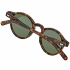Moscot Miltzen Sunglasses in Tortoise/G15