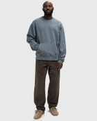 Carhartt WIP Torion Sweat Blue Mens Sweatshirt