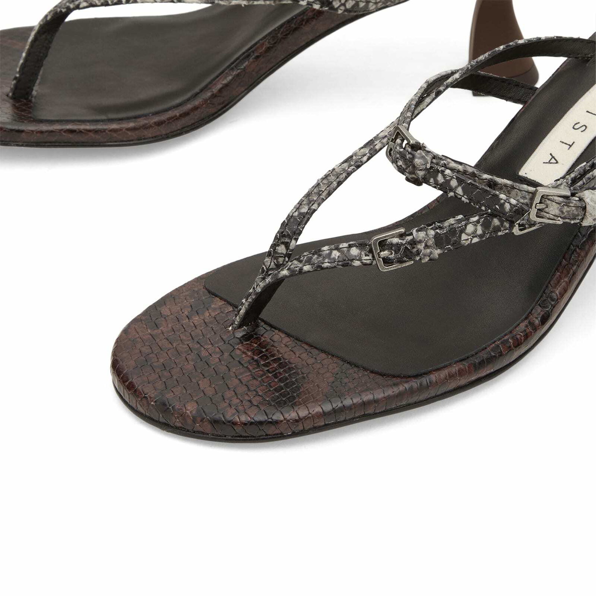 MIISTA Women's Abisai Mini Buckled Sandals in Brown