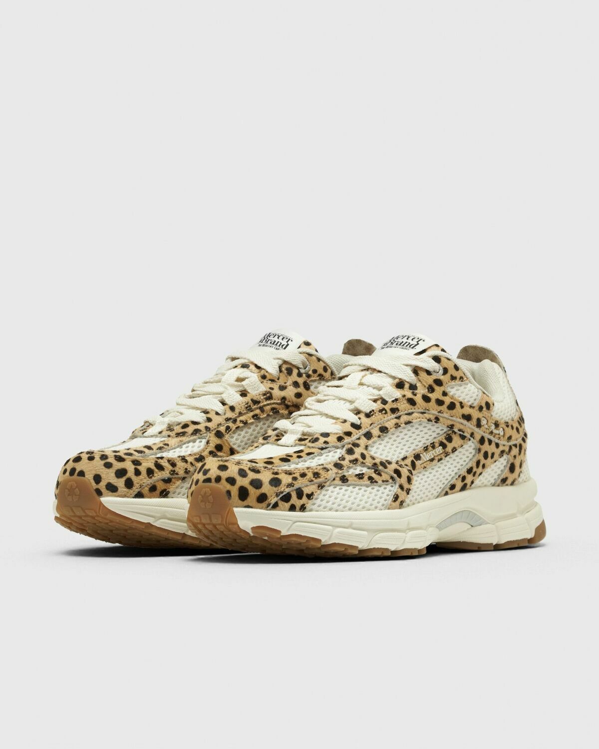 The Re-Run Spotted Leopard