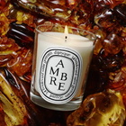 Diptyque Unisex Ambre Scented Candles 2.4 oz Fragrances 3700431404282