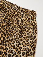 NANUSHKA - Doxxi Pleated Leopard-Print Voile Shorts - Brown