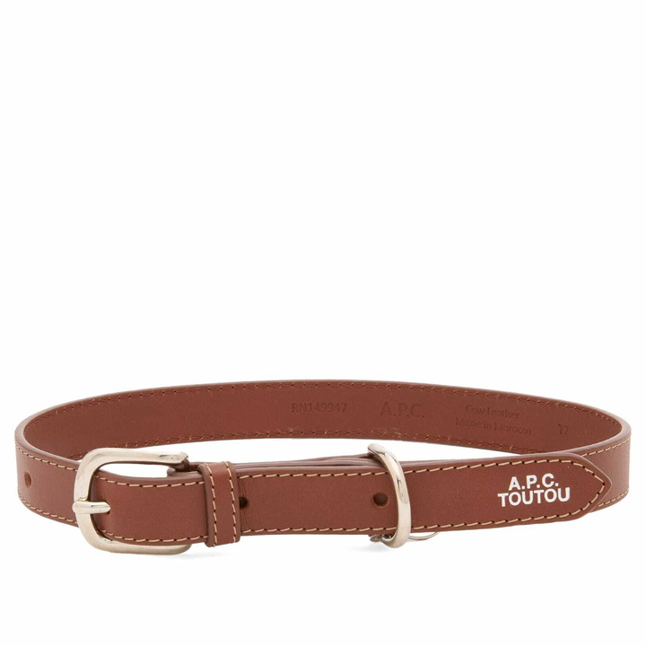Photo: A.P.C. Men's Leather Dog Collar in Hazelnut