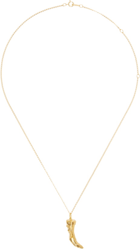 Photo: Alighieri Gold 'The Feline Majesty' Necklace