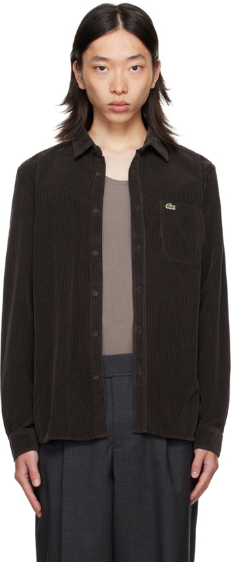 Photo: Lacoste Brown Regular Fit Shirt