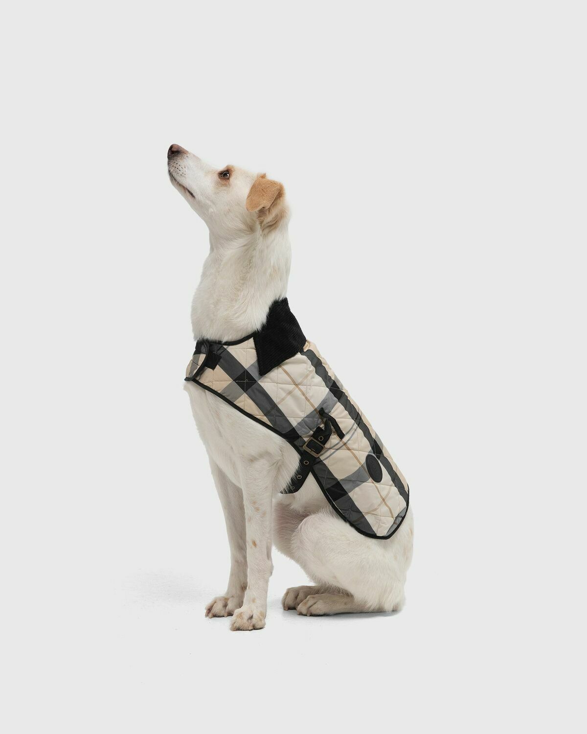Barbour Tartan Coat Beige Mens Pet Care