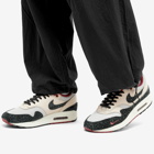 Nike Air Max 1 Premium Sneakers in Pearl White/Black