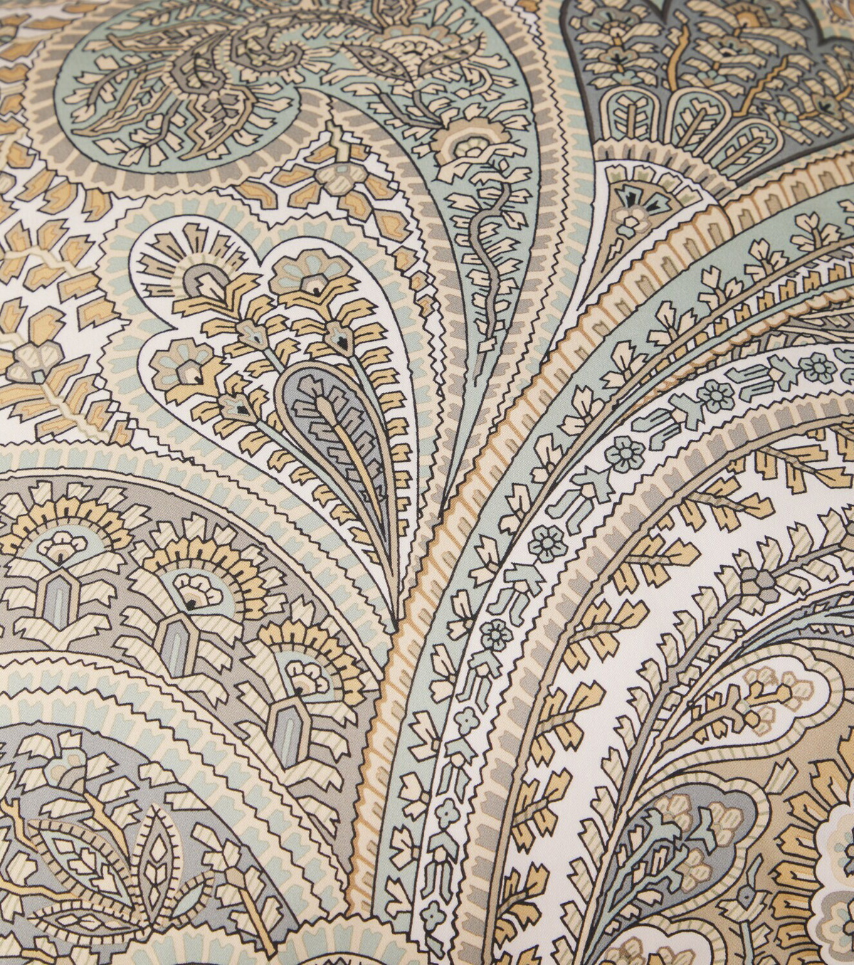 Etro Paisley cotton cushion