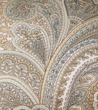 Etro Paisley cotton cushion