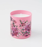 Dolce&Gabbana Casa Rosa Moschata scented candle