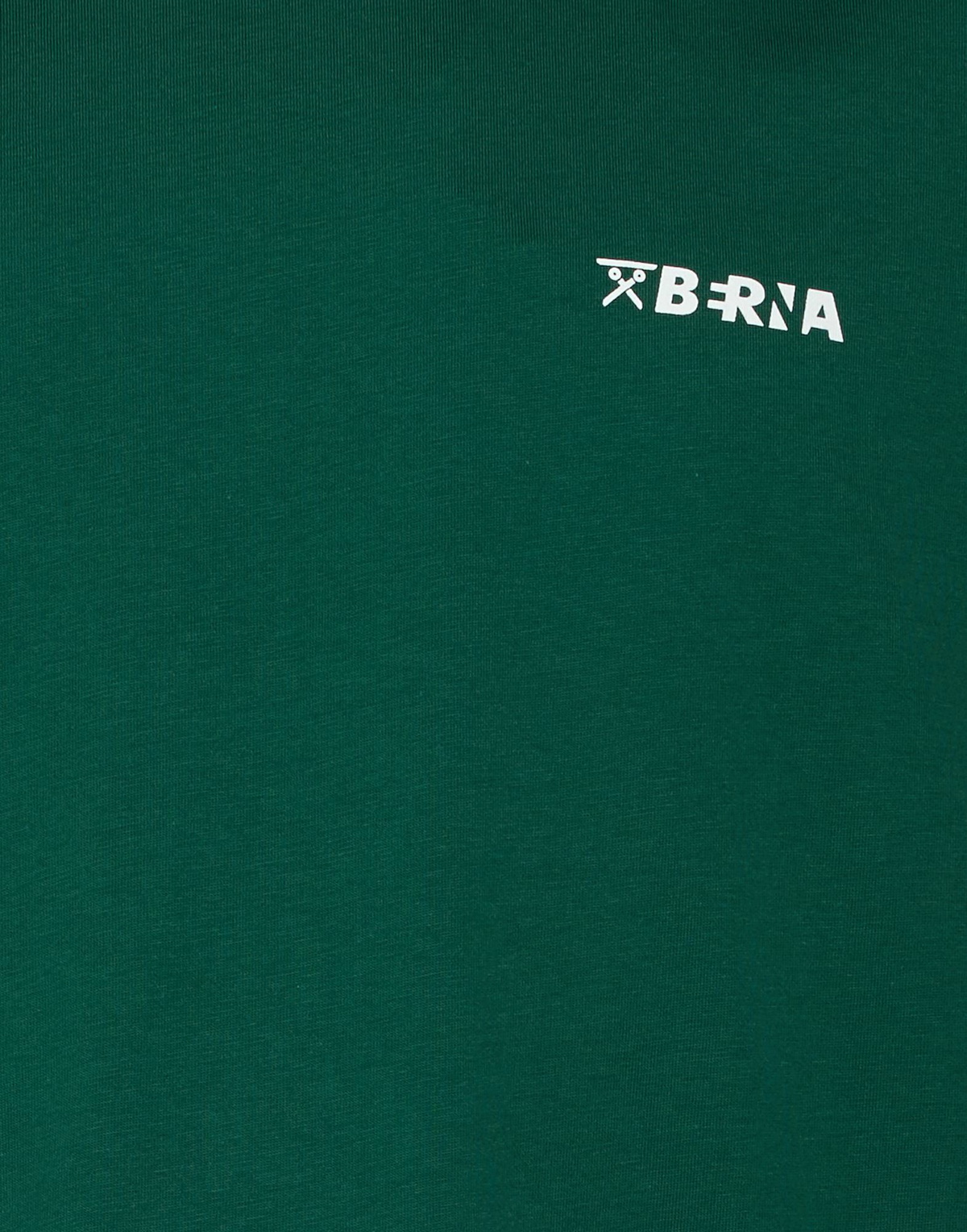 Berna Mens T-shirt in Green