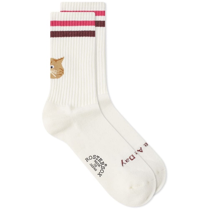 Photo: Rostersox Cat Socks in Pink