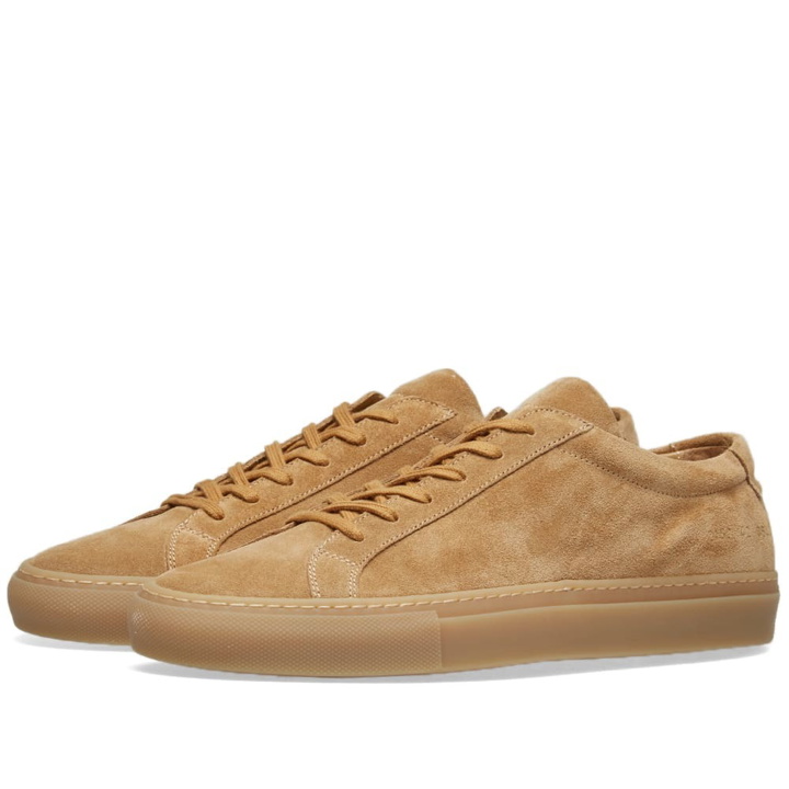 Photo: Common Projects Original Achilles Low Suede Brown