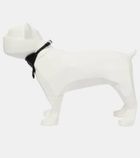 Prada Re-Nylon dog collar