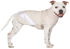 Stutterheim SSENSE Exclusive Beige Dog Raincoat