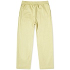 Adidas Basketball Sweat Pant in Halo Gold