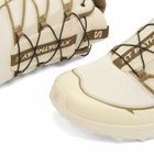 Salomon XT-PATHWAY 2 Sneaker in Rainy Day/Stone Gray/Cherry Tomato