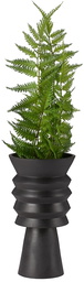 Caudex SSENSE Exclusive Black Lobivia Planter