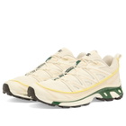 Salomon XT-6 EXPANSE Sneaker in Vanilla Ice/Almond Milk/Eden