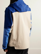 Moncler Grenoble - Brizon Colour-Block Ski Jacket - Neutrals