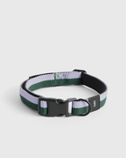 Hay Hay Dogs Collar Flat Green/Purple - Mens - Cool Stuff